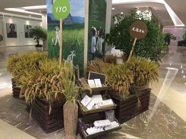 20141119102809_49029.jpg 20141119102809_49029.jpg