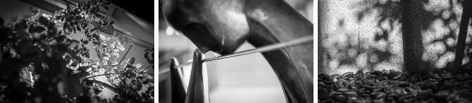 TIM截圖20190220162557.jpg TIM截圖20190220162557.jpg