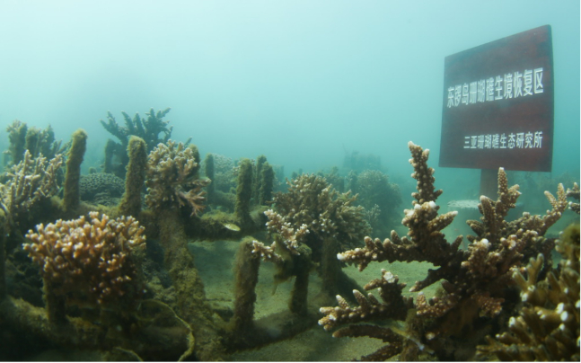 微信截圖_20210922101649_副本.jpg 微信截圖_20210922101649_副本.jpg