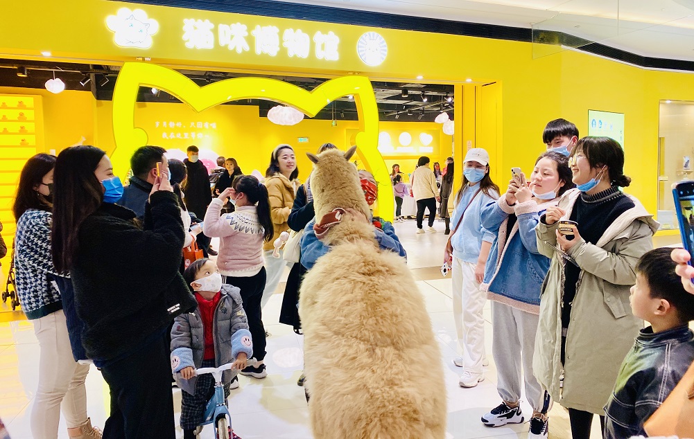 貓咪博物館1.jpg 貓咪博物館1.jpg