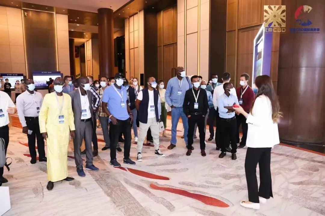 6379869441147935724052196.jpg 6379869441147935724052196.jpg