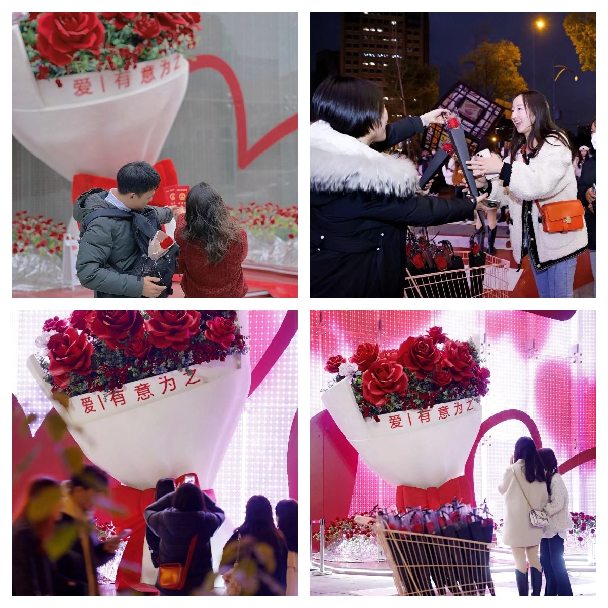 6381222261542255619264548.jpg 6381222261542255619264548.jpg